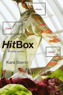 HitBox 1