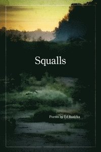 bokomslag Squalls