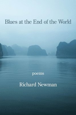 Richard Newman - Blues at the End of the World, Häftad