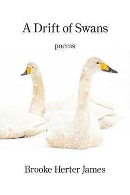 Brooke Herter James - Drift of Swans, Häftad