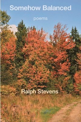 Ralph Stevens - Somehow Balanced, Häftad