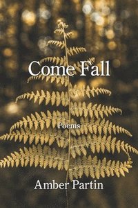 bokomslag Come Fall