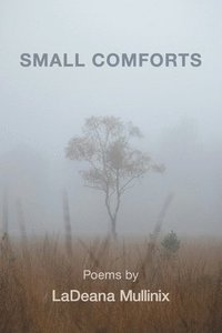 bokomslag Small Comforts