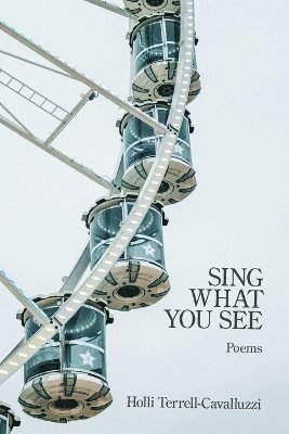 bokomslag Sing What You See