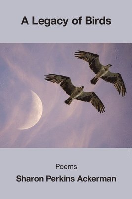bokomslag Legacy of Birds