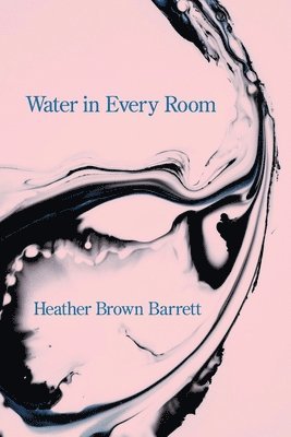 Water in Every Room 1