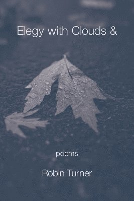 bokomslag Elegy with Clouds &