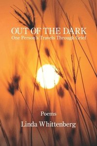 bokomslag Out of the Dark