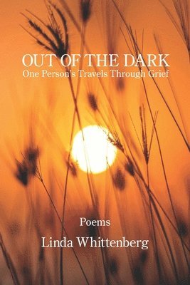 bokomslag Out of the Dark