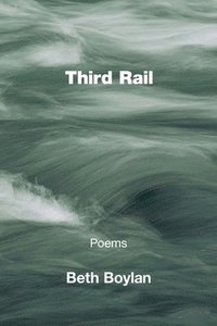 bokomslag Third Rail