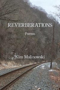 bokomslag Reverberations