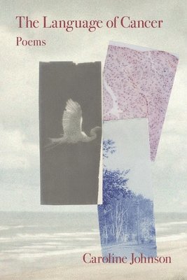 Caroline Johnson - Language of Cancer, Häftad