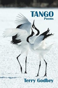 bokomslag Tango