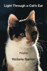 bokomslag Light Through a Cat's Ear