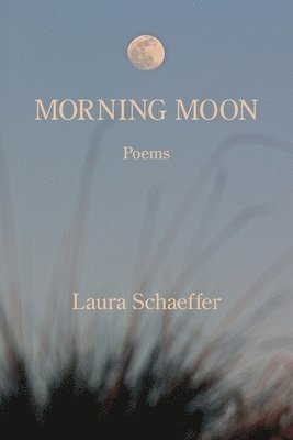 Schaeffer - Morning Moon, Häftad