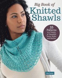 bokomslag Big Book of Knitted Shawls