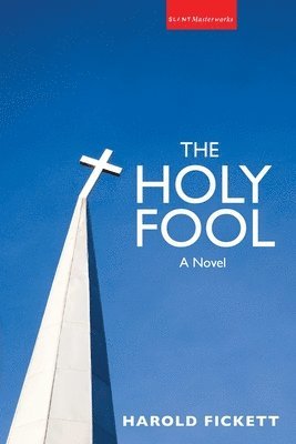 bokomslag Holy Fool