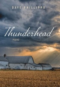 bokomslag Thunderhead
