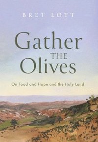 bokomslag Gather the Olives