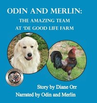 bokomslag Odin and Merlin