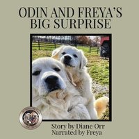 bokomslag Odin and Freya's Big Surprise
