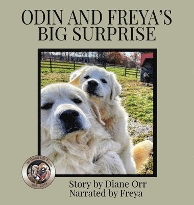 Odin and Freya's Big Surprise 1