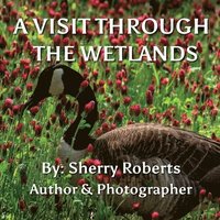 bokomslag A Visit Through the Wetlands