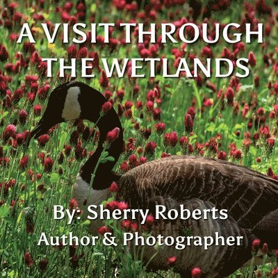 A Visit Through the Wetlands 1
