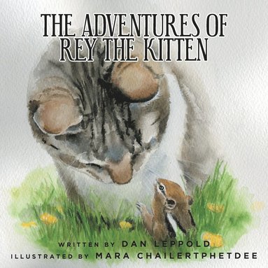 bokomslag Adventures of Rey the Kitten