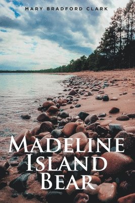 Madeline Island Bear 1