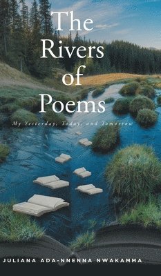 bokomslag The Rivers Of Poems