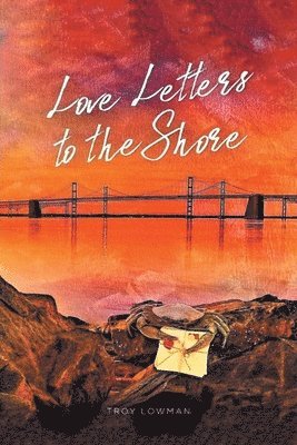 bokomslag Love Letters To The Shore