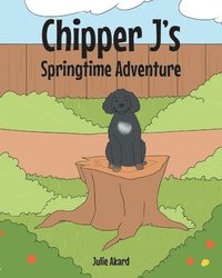 bokomslag Chipper J's Springtime Adventure