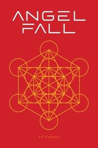 bokomslag Angel Fall