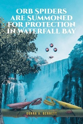 bokomslag Orb Spiders are Summoned for Protection in Waterfall Bay