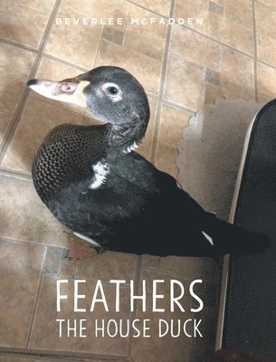 Feathers the House Duck 1