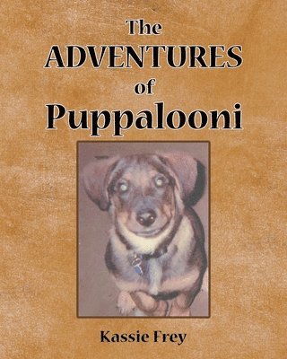bokomslag Adventures of Puppalooni