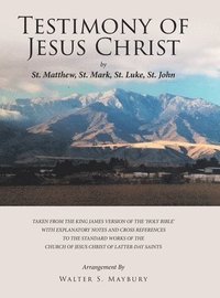 bokomslag Testimony of Jesus Christ