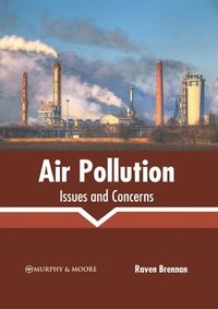 bokomslag Air Pollution: Issues and Concerns