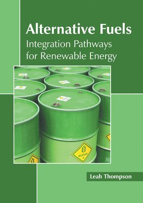 bokomslag Alternative Fuels: Integration Pathways for Renewable Energy