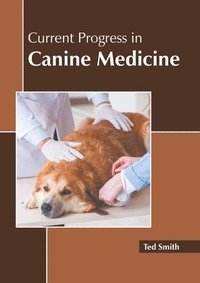 bokomslag Current Progress in Canine Medicine