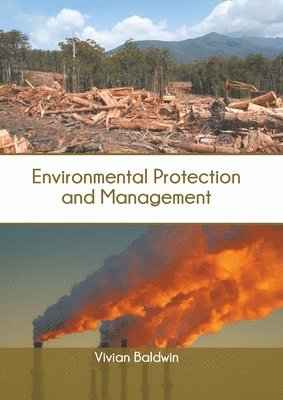 Vivian Baldwin - Environmental Protection and Management, Inbunden