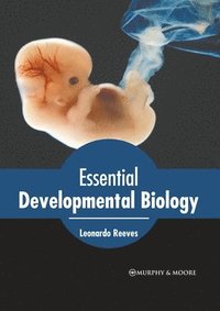 bokomslag Essential Developmental Biology