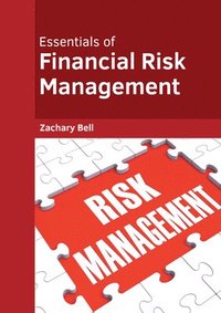 bokomslag Essentials of Financial Risk Management