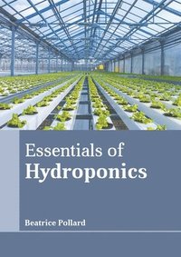 bokomslag Essentials of Hydroponics