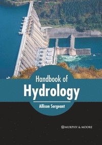 bokomslag Handbook of Hydrology