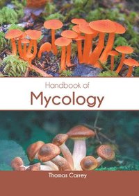 bokomslag Handbook of Mycology