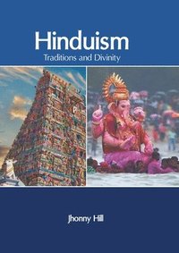 bokomslag Hinduism: Traditions and Divinity