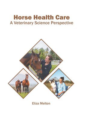 Horse Health Care: A Veterinary Science Perspective 1