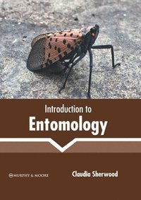 bokomslag Introduction to Entomology